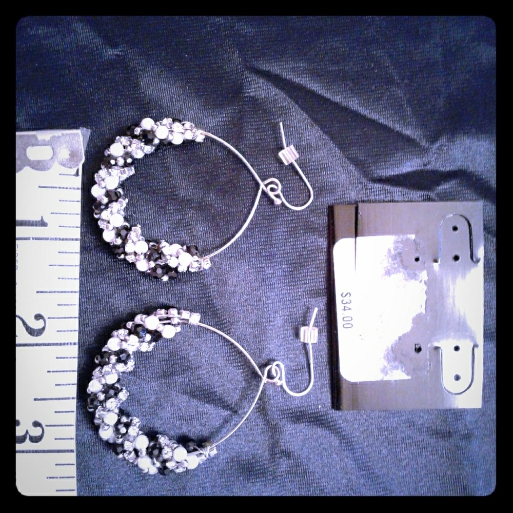 Silver and Black Earrings